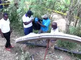 El anillo se trataría de la pieza de un cohete.