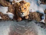'Mufasa'