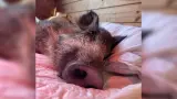 Violeta, en la fundación El Hogar